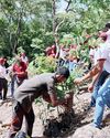 Ceylinco Life’s Green Club drives meaningful sustainability impact Daily Mirror - Sri Lanka