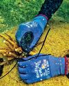 ATG TAKES THE LEAD IN COASTAL CONSERVATION AND MARINE ECOSYSTEM PROTECTION! Daily Mirror - Sri Lanka