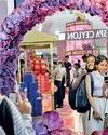 Spa Ceylon commits to preserving country’s endemic orchids28