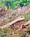 No government aid and no officials for Walapane landslide victims, 18 days on No government aid and no officials for Walapane landslide victims, 18 days on4