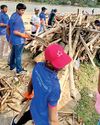 Maris students restore beauty of Maha Oya-Kammalthota Estuary after floods11