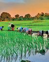 Food and Financial Self-Sufficiency: THE KEY TO SURVIVAL IN AN INCREASINGLY UNSTABLE WORLD Food and Financial Self-Sufficiency: THE KEY TO SURVIVAL IN AN INCREASINGLY UNSTABLE WORLD16