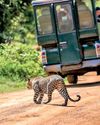 Government eyes carrying capacity caps and digital ticketing to curb Yala overcrowding Government eyes carrying capacity caps and digital ticketing to curb Yala overcrowding27
