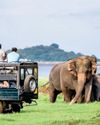 Daily Mirror - Sri Lanka