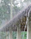 MET. PREDICTS RAIN2