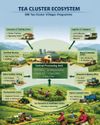 SRI LANKA'S TEA TURNING POINT6