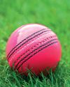 Cricket to trial pink balls at bad light stoppages36