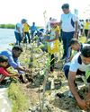 Daily Mirror - Sri Lanka