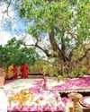 “புத்தரின் போதனைகள் எமக்கு வழிகாட்டட்டும்” “புத்தரின் போதனைகள் எமக்கு வழிகாட்டட்டும்”