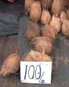 தேங்காய் விலை குறைகிறது9