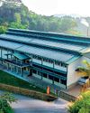 New era for tea: Hayleys opens state-of-the-art Kiruwanaganga Tea Factory in Southern region New era for tea: Hayleys opens state-of-the-art Kiruwanaganga Tea Factory in Southern region