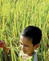 How Asia can revolutionise food systems—before it's too late How Asia can revolutionise food systems—before it's too late