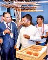 Thema Collection sets new standard with Sri Lanka's first carbon-neutral stall at Sancharaka Udawa17
