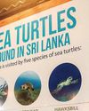 Sea Turtle Conservation Hub at Dickwella Resort and Spa on World Turtle Day49