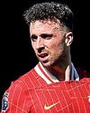 Liverpool forward Jota dies in car crash Daily FT