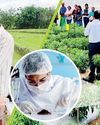 DIMO Agribusinesses elevates farmers into agripreneurs Daily FT