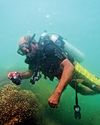 35% live coral turns Hambantota Port into model for marine sustainability Daily FT