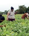 Multi-dimensional approach to lift status of rural sector: Praja Shakthi program in context26