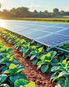 President hits pause on Mannar: Will SL’s present Govt. finally press play on real energy reform?29