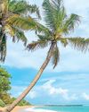 SITA brings advanced digital travel solutions to support Sri Lanka’s tourism growth ambitions20