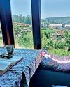 Sanctuary in Clouds: What residential library of healing in Nuwara Eliya meant to me48