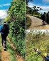 Miguel Cunat, creator of Lankan Pekoe Trail calls for saving Central Province tourism19