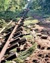 Sri Lanka Railways after Ditwah: Rebuilding what was decimated; and building what a nation deserves50