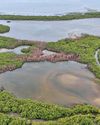 Govt. rescinds Gazette altering boundaries of Wedithalathive Nature Reserve following Supreme Court proceedings Govt. rescinds Gazette altering boundaries of Wedithalathive Nature Reserve following Supreme Court proceedings21