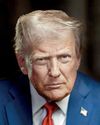 Fortresses and trade agreements Fortresses and trade agreements49