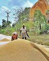 Agriculture is not Sri Lanka's past, it is its strategic future Agriculture is not Sri Lanka's past, it is its strategic future38