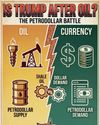 The petrodollar strategy – Why the global power shift matters for Sri Lanka30