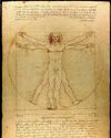 Vitruvian man: The human body as architecture30