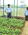 Tokyo Cement marks World Environment Day with 100,000 mangroves for greener Sri Lanka Tokyo Cement marks World Environment Day with 100,000 mangroves for greener Sri Lanka20