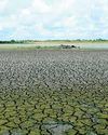 Can Indian Ocean Dipole cushion Sri Lanka from a strong El Niño? Can Indian Ocean Dipole cushion Sri Lanka from a strong El Niño?15
