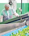 From volume to value: Making the most of South Asia's food sector From volume to value: Making the most of South Asia's food sector33