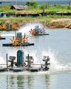 Asia drives global aquatic production to record high, powered by aquaculture expansion Asia drives global aquatic production to record high, powered by aquaculture expansion34