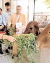 गौ रक्षा और गौ संवर्धन हमारी भारतीय संस्कृति का आधार : दीया कुमारी