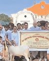 जैन रत्न युवा परिषद की परोपकारी समिति ने पिंजारापोल में की गौसेवा33