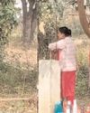 छत्तीसगढ़ में निजी स्कूल की शिक्षिका ने दंडित करने के लिए छात्र को पेड़ से लटकाया, स्कूल को नोटिस छत्तीसगढ़ में निजी स्कूल की शिक्षिका ने दंडित करने के लिए छात्र को पेड़ से लटकाया, स्कूल को नोटिस13