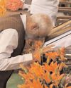 इस वर्ष संविधान दिवस कई कारणों से है विशेष44