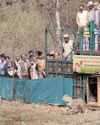 बोत्सवाना से लाए गए नौ चीते कूनो राष्ट्रीय उद्यान पहुंचे9