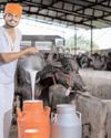 दूध उत्पादकों, विक्रेताओं के लिए पंजीकरण प्रमाण पत्र लेना जरूरी : खाद्य नियामक1