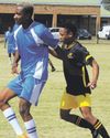 Polokwane Observer