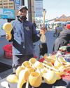 Polokwane Observer