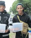 Polokwane Observer