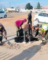 Polokwane Observer