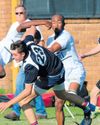 Polokwane Observer