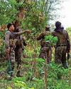 छत्तीसगढ मुठभेड़ में 27 नक्सली ढेर छत्तीसगढ मुठभेड़ में 27 नक्सली ढेर