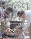 'दपरे' के बेंगलूरु मंडल ने मनाया विश्व पर्यावरण दिवस12
