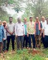 पर्यावरण प्रेमी युवाओं ने श्रमदान कर पेड़ पौधों का किया देखभाल12